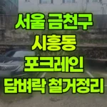 서울 금천구 시흥동 포크레인 무너진 담벼락에서 차 빼고 담벼락정리후 폐기 현장 사진