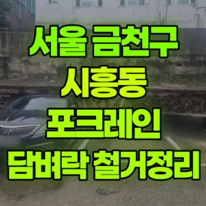 서울 금천구 미니035 포크레인(굴착기) 무너진 담벼락에서 차 빼고 담벼락정리후 퍠기 일대 비용