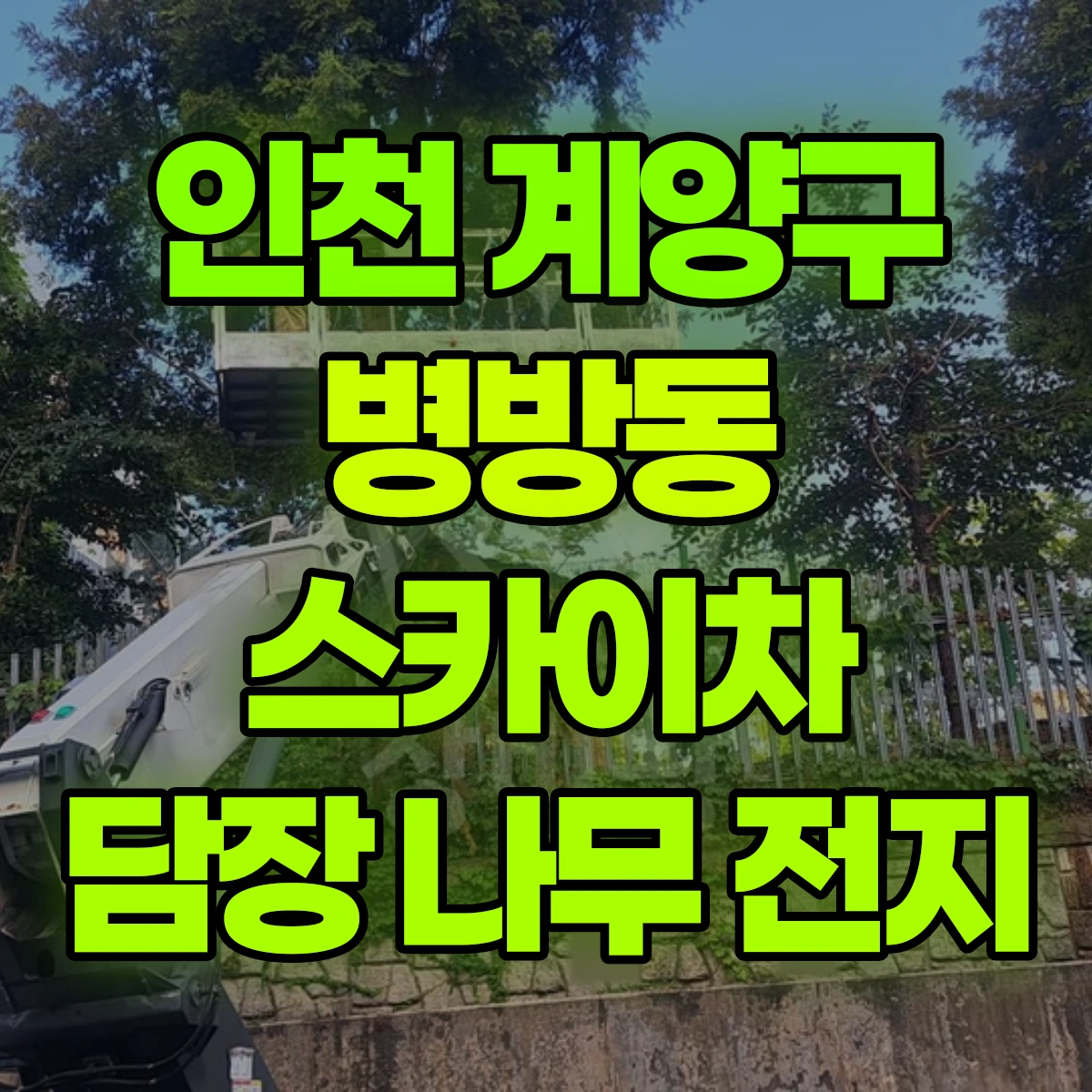 인천 계양구 병방동 스카이차 담장 나무 전지 비용