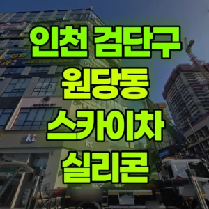 인천 검단구 스카이차 실리콘 반나절 비용