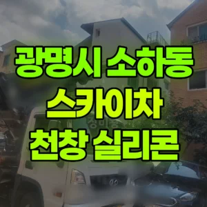 경기 광명시 스카이차 지붕 천창 실리콘 작업  2시간 후기