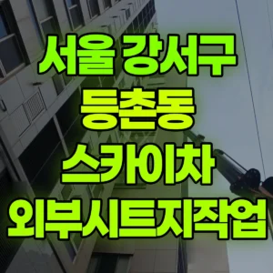 서울 강서구 스카이차 외부시트지작업 2시간 후기