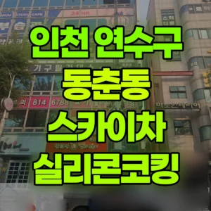 인천 연수구 스카이차 실리콘코킹 2시간 비용