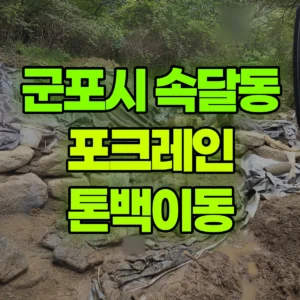경기 군포시 미니035 포크레인(굴착기) 톤백이동 반나절 후기