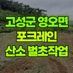 경남 고성군 영오면 포크레인 산소앞 300평 나무/풀정리 현장 사진