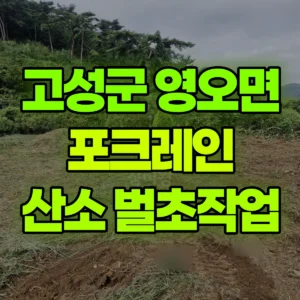 경남 고성군 미니035 포크레인(굴착기) 산소앞 300평 나무/풀정리 일대 후기