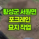 강원 횡성군 서원면 포크레인 묘지 작업 현장 사진