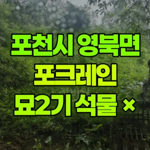 경기 포천시 미니035 포크레인(굴착기) 묘2기 석물 × 반나절 비용