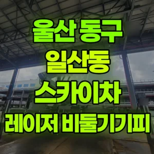 울산 동구 스카이차 레이저설치및 기피제 작업 일대 비용