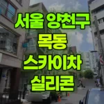 서울 양천구 목동 스카이차 실리콘 현장 사진