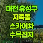 대전 유성구 지족동 스카이차 수목전지 현장 사진