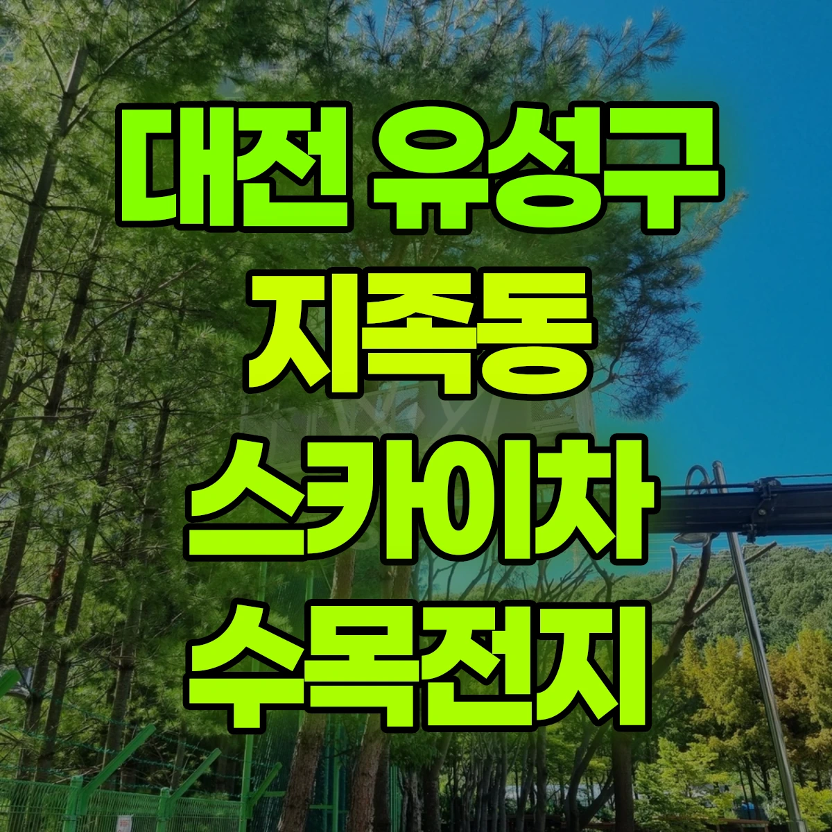 대전 유성구 지족동 스카이차 수목전지 비용