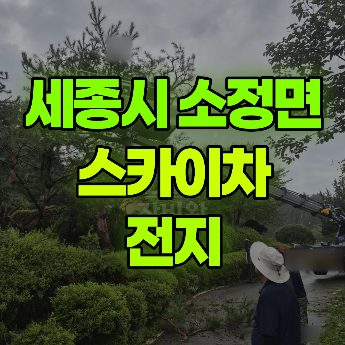 세종시 소정면 스카이차 전지 비용