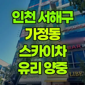 인천 서해구 스카이차 유리 양중 반나절 비용