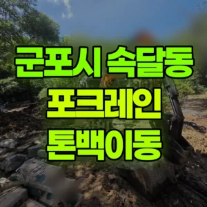 경기 군포시 미니035 포크레인(굴착기) 톤백이동 일대 후기