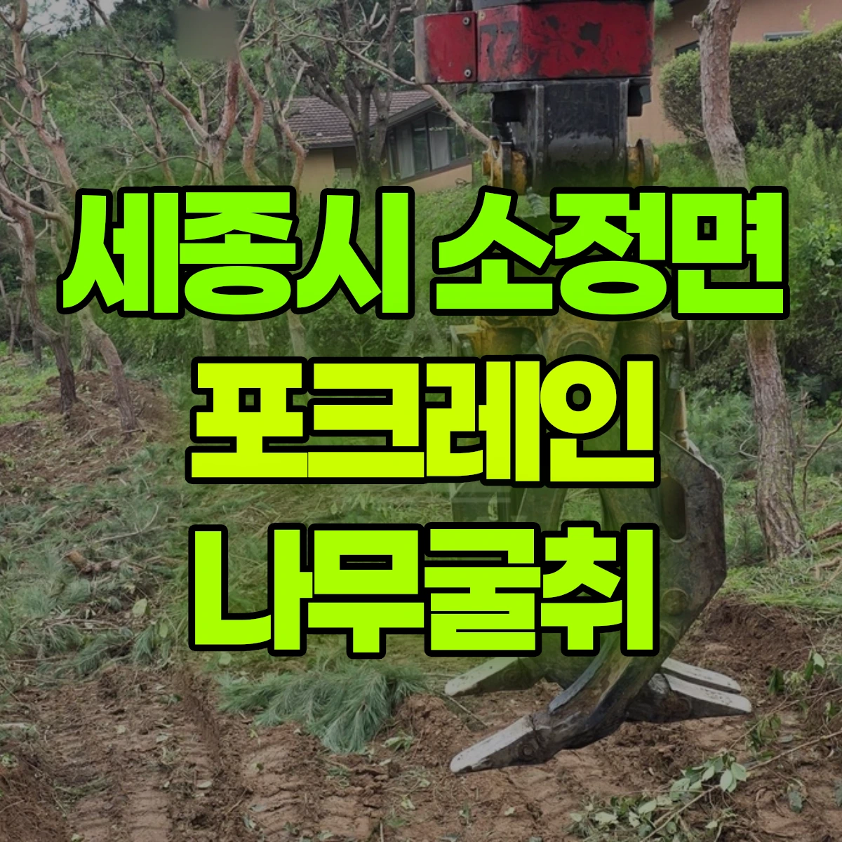 세종시 소정면 포크레인 나무굴취 비용
