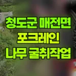 경북 청도군 매전면 포크레인 나무 열그루정도 굴취 현장 사진