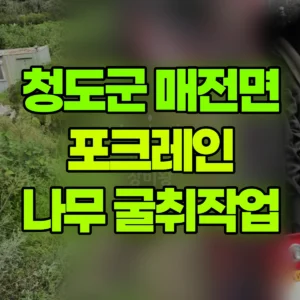 경북 청도군 미니035 포크레인(굴착기) 나무 열그루정도 굴취 일대 후기