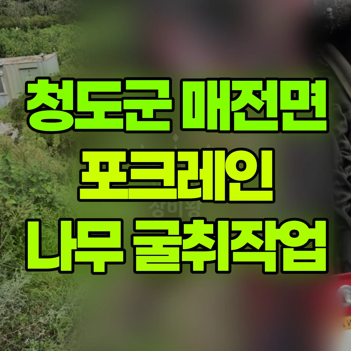 청도군 매전면 포크레인 나무 굴취작업 비용