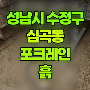 경기 성남시 03궤도(LC) 포크레인(굴착기) 흙 반나절 후기