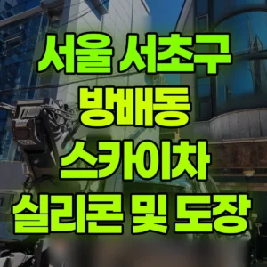 서울 서초구 스카이차 실리콘 및 도장  반나절 후기
