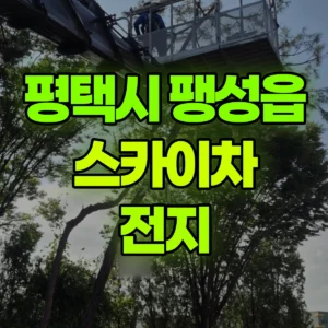 경기 평택시 스카이차 전지 반나절 비용