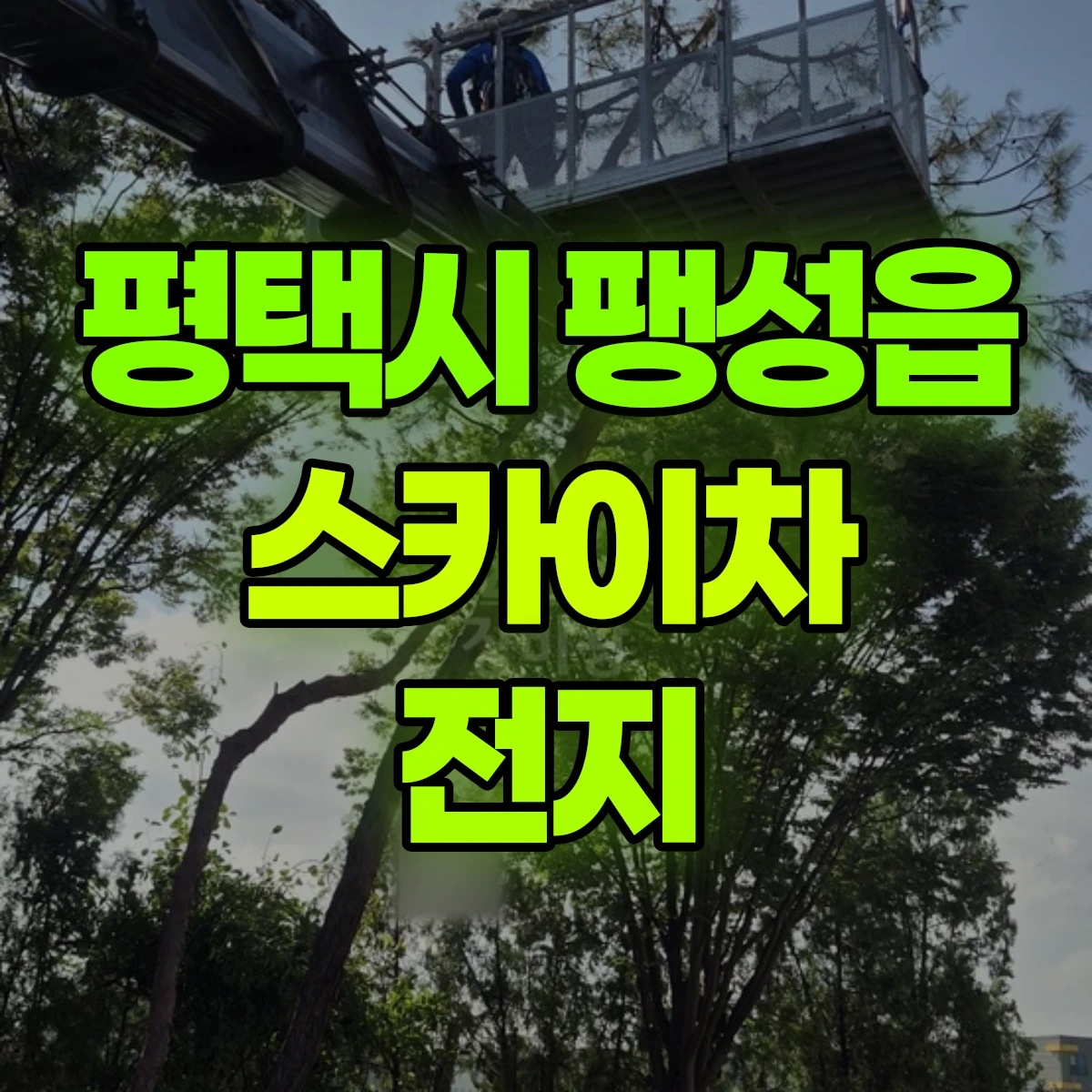 평택시 팽성읍 스카이차 전지 비용