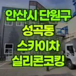 경기 안산시 단원구 성곡동 스카이차 실리콘코킹 현장 사진