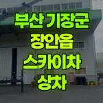 부산 기장군 장안읍 스카이차 상차 현장 사진