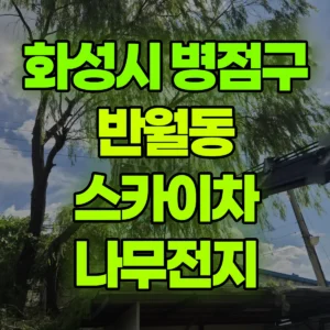 경기 화성시 스카이차 나무전지 반나절 비용