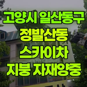 경기 고양시 스카이차 지붕작업 / 자재양중 2일 비용