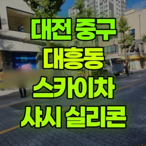 대전 중구 스카이차 샤시 실리콘 마무리 작업 반나절 비용