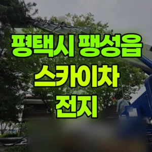 경기 평택시 스카이차 전지 일대 비용