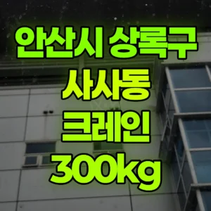 경기 안산시 16톤 맹꽁이 크레인 300kg 기계양중 1시간 비용
