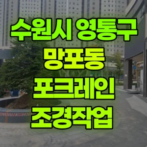 경기 수원시 미니030 포크레인(굴착기) 조경작업  일대 비용