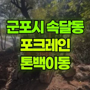 경기 군포시 미니035 포크레인(굴착기) 톤백이동 일대 후기