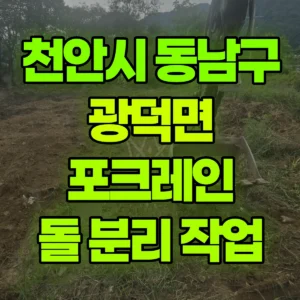 충남 천안시 06바퀴(W) 포크레인(굴착기) 돌 분리(고르는) 작업  2일 비용