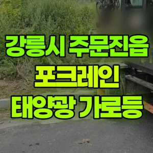 강원 강릉시 03바퀴(W) 포크레인(굴착기) 태양광 가로등 일대 후기