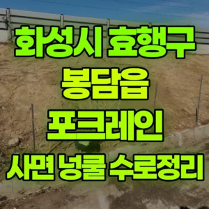 경기 화성시 06바퀴(W) 포크레인(굴착기) 사면정리/넝쿨제거/수로정리 반나절 후기