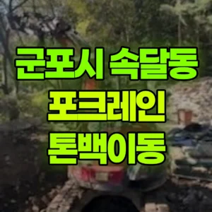 경기 군포시 미니035 포크레인(굴착기) 톤백이동 일대 후기