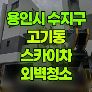 경기 용인시 스카이차 외벽청소 일대 후기