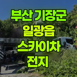부산 기장군 스카이차 전지  반나절 비용