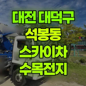 대전 대덕구 스카이차 수목전지 일대 후기