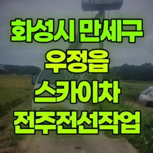 경기 화성시 스카이차 전주전선작업 2시간 후기