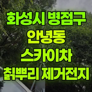 경기 화성시 스카이차 칡뿌리제거/전지 일대 비용