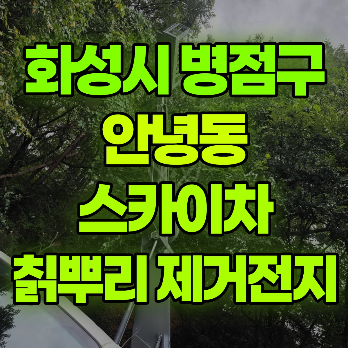 화성시 병점구 안녕동 스카이차 칡뿌리 제거전지 비용