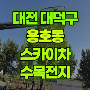 대전 대덕구 스카이차 수목전지 일대 후기