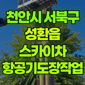 충남 천안시 스카이차 항공기도장작업 3일 비용
