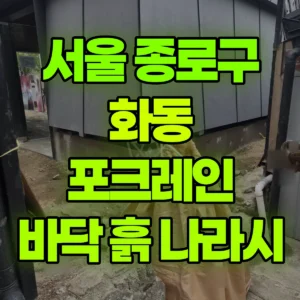 서울 종로구 미니008 포크레인(굴착기) 바닥흙 깔고 나라시하고 자재옮기고 일대 비용