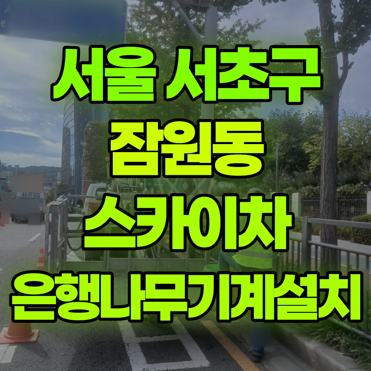 서울 서초구 잠원동 스카이차 은행나무기계설치 비용